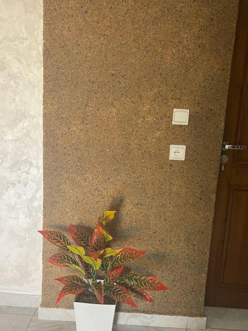 Apartment Confortable A