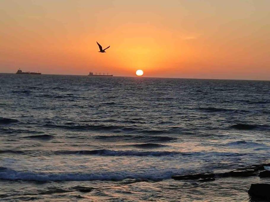 View & Surf Agadir