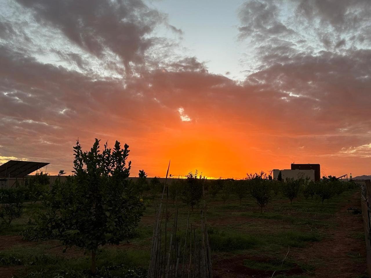 Peaceful Family Villa On A Farm With Private Pool And Stunning Mountain Views Villa Agadir