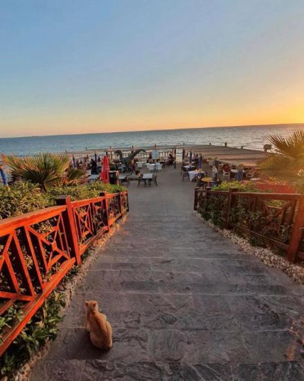 Appartement With Panoramic Ocean View In