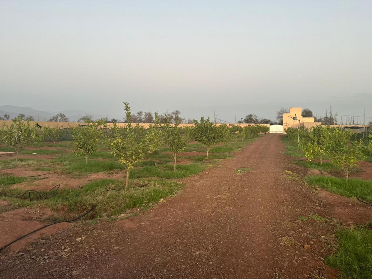 Peaceful Family Villa On A Farm With Private Pool And Stunning Mountain Views * Agadir