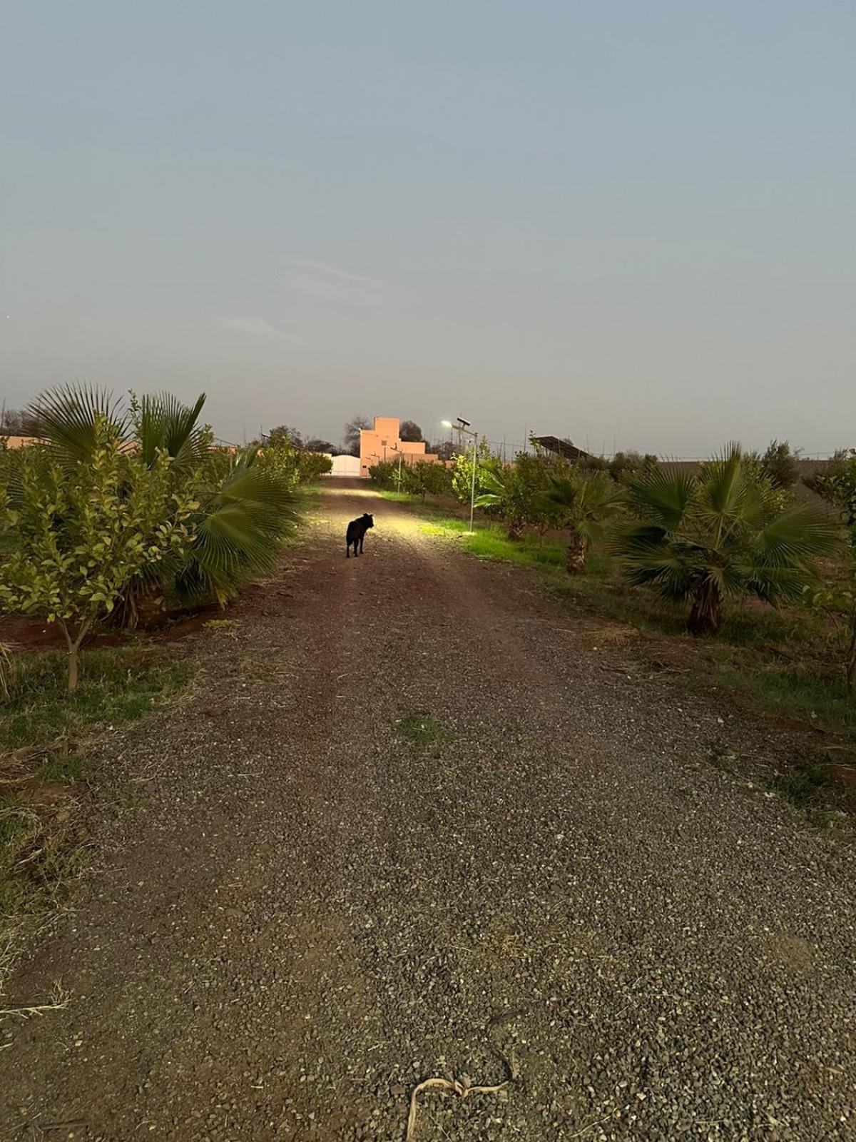 Villa Peaceful Family Villa On A Farm With Private Pool And Stunning Mountain Views *