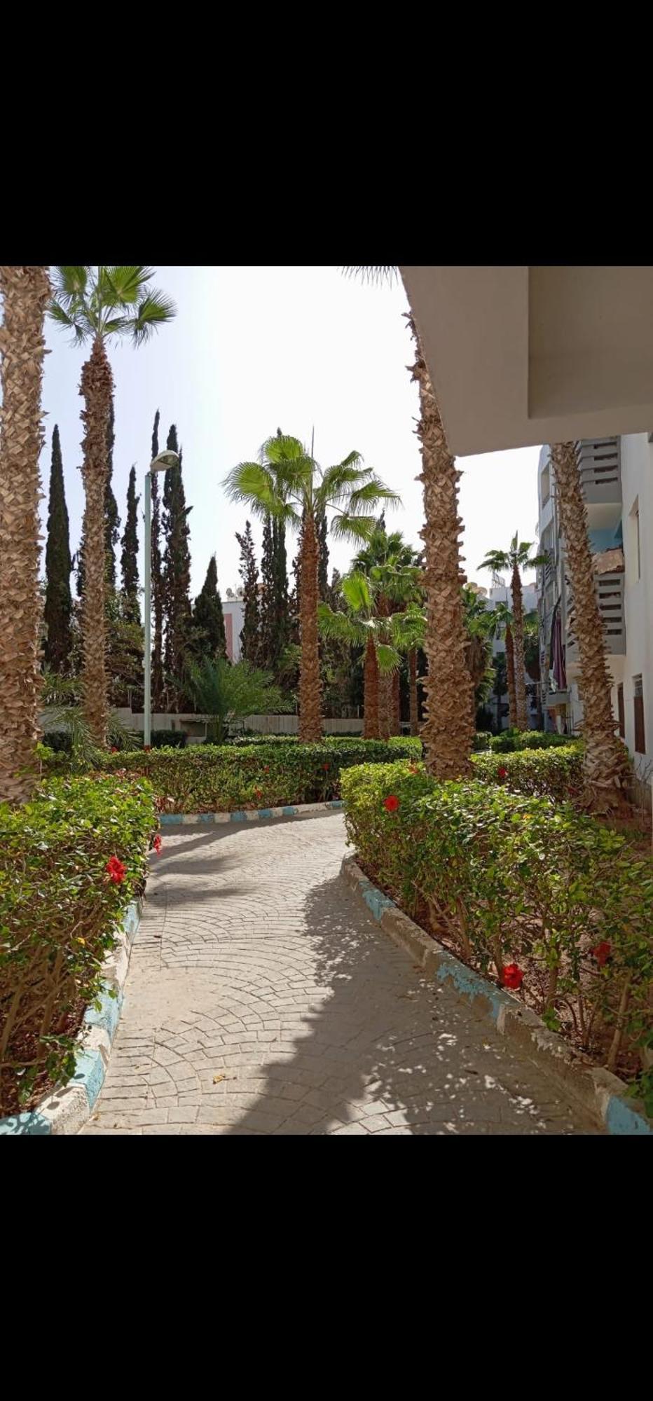 With Adil Amezing Apartment Agadir