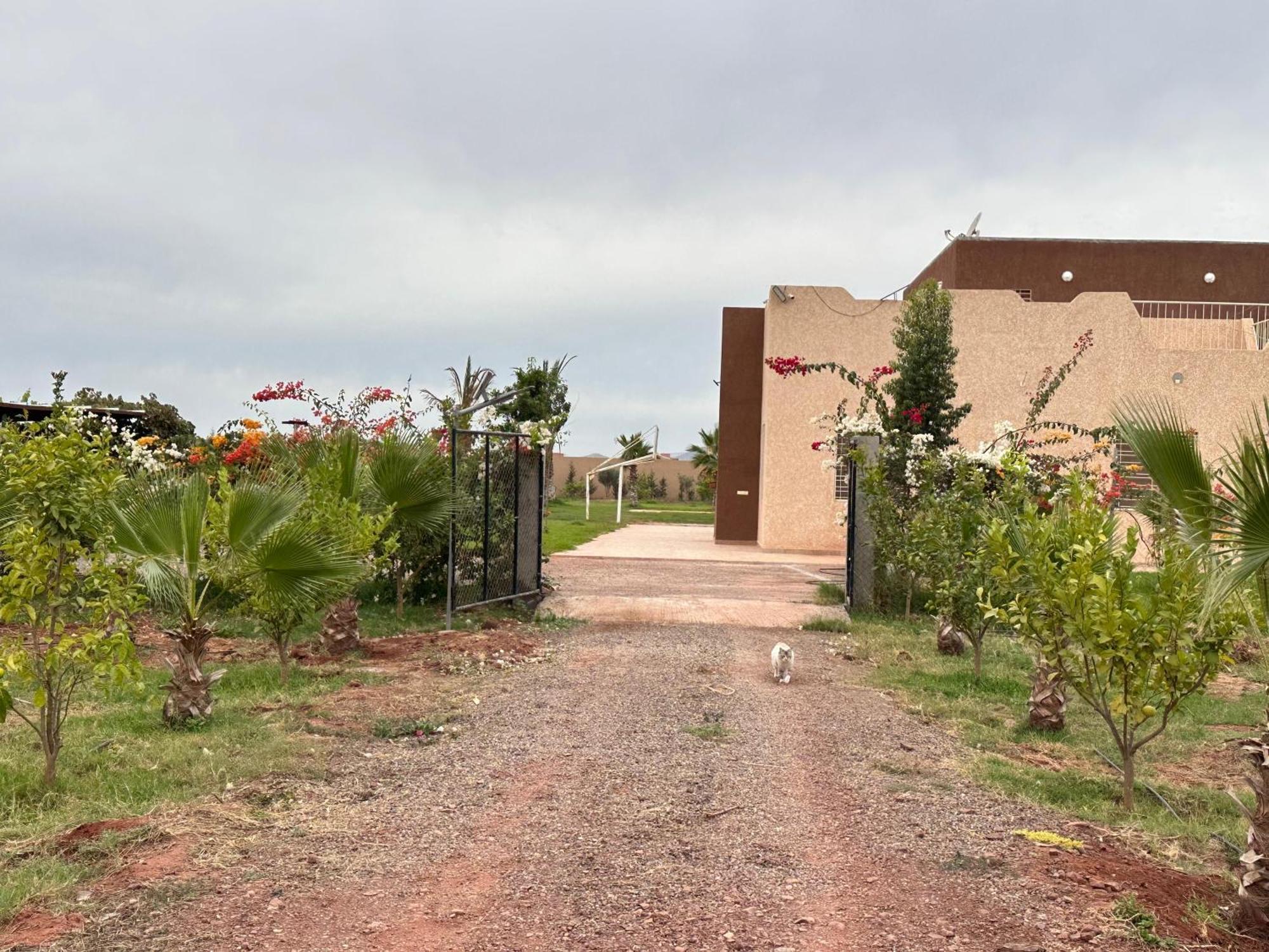 Peaceful Family Villa On A Farm With Private Pool And Stunning Mountain Views * Agadir