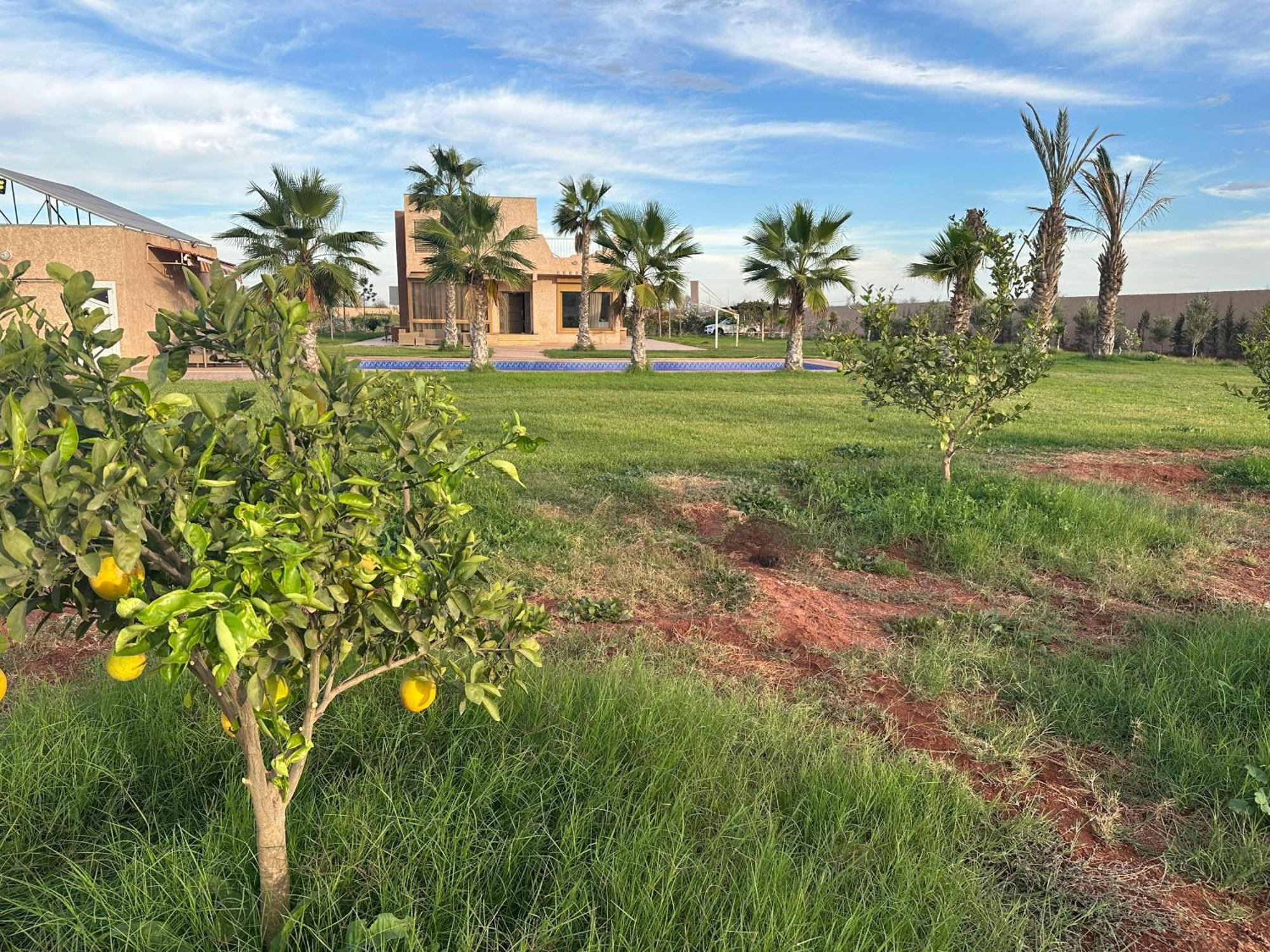 Peaceful Family Villa On A Farm With Private Pool And Stunning Mountain Views * Agadir