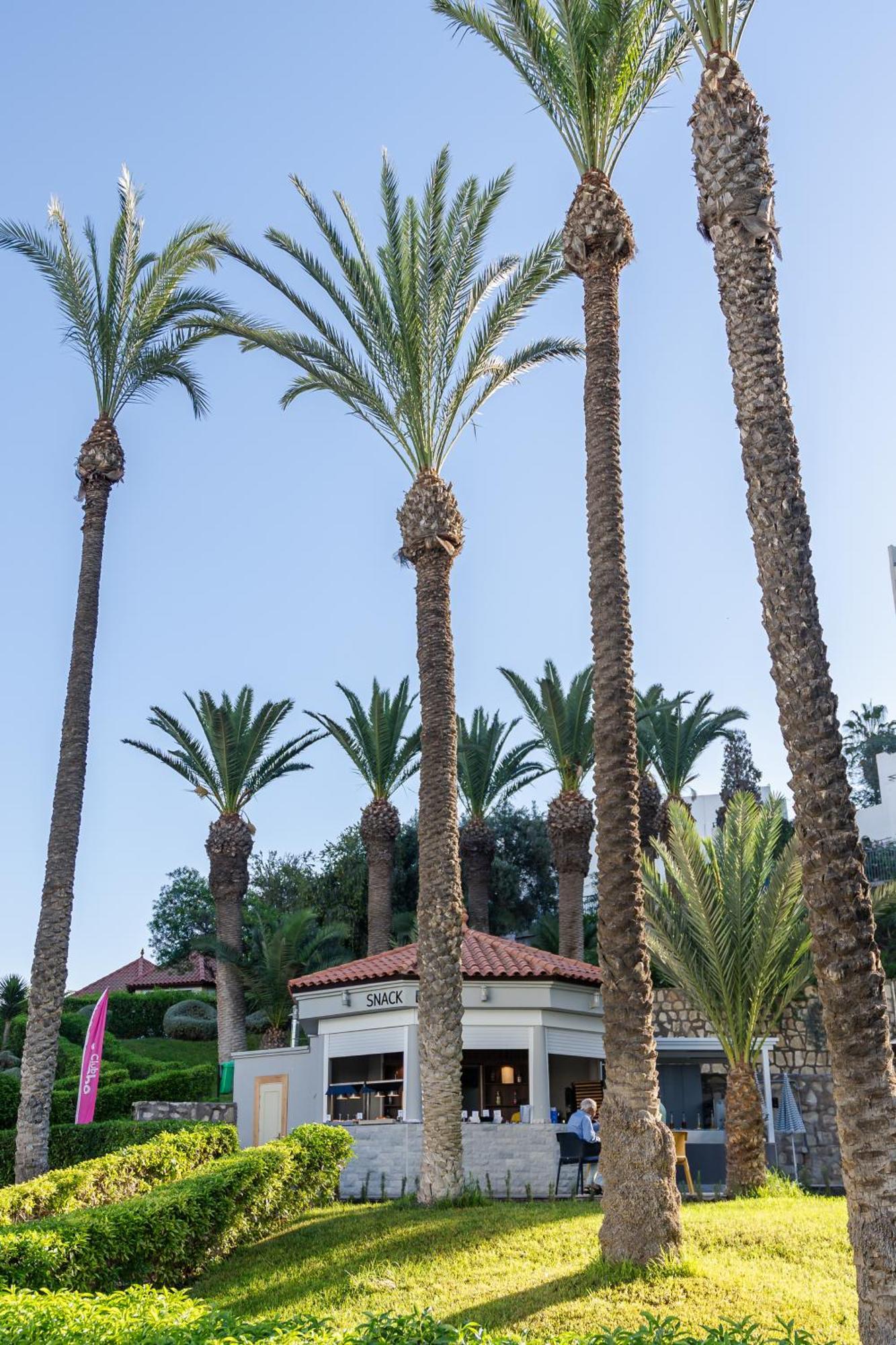 Tui Suneo Kenzi Europa Hotel Agadir