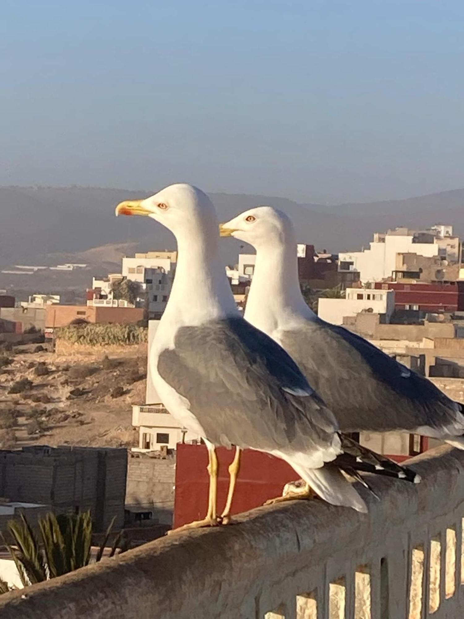Quiet House Tamraght Agadir