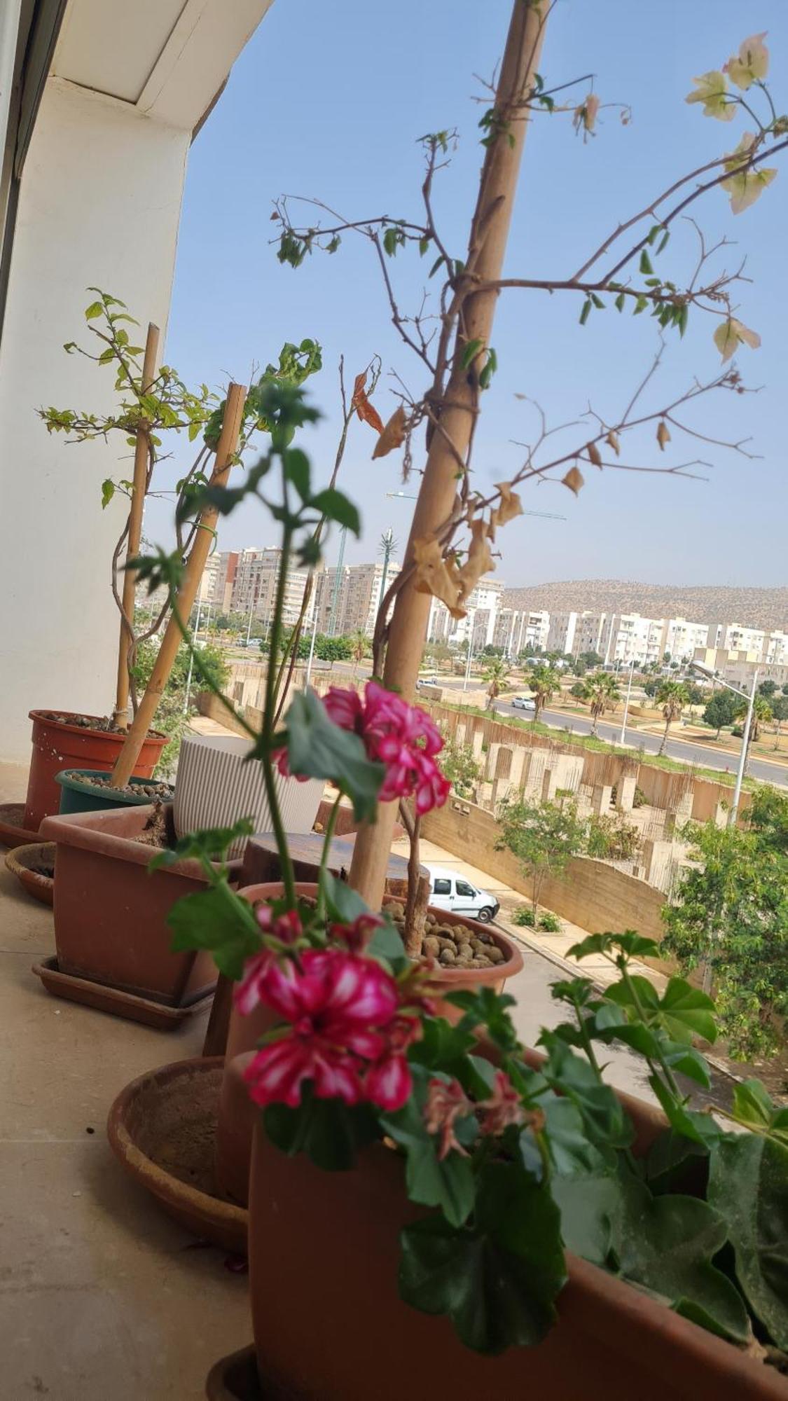 Homestay Private In A Shared With Pool