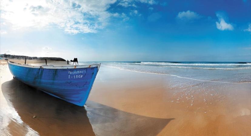 Moderne Et Lumineux - Anza * Agadir