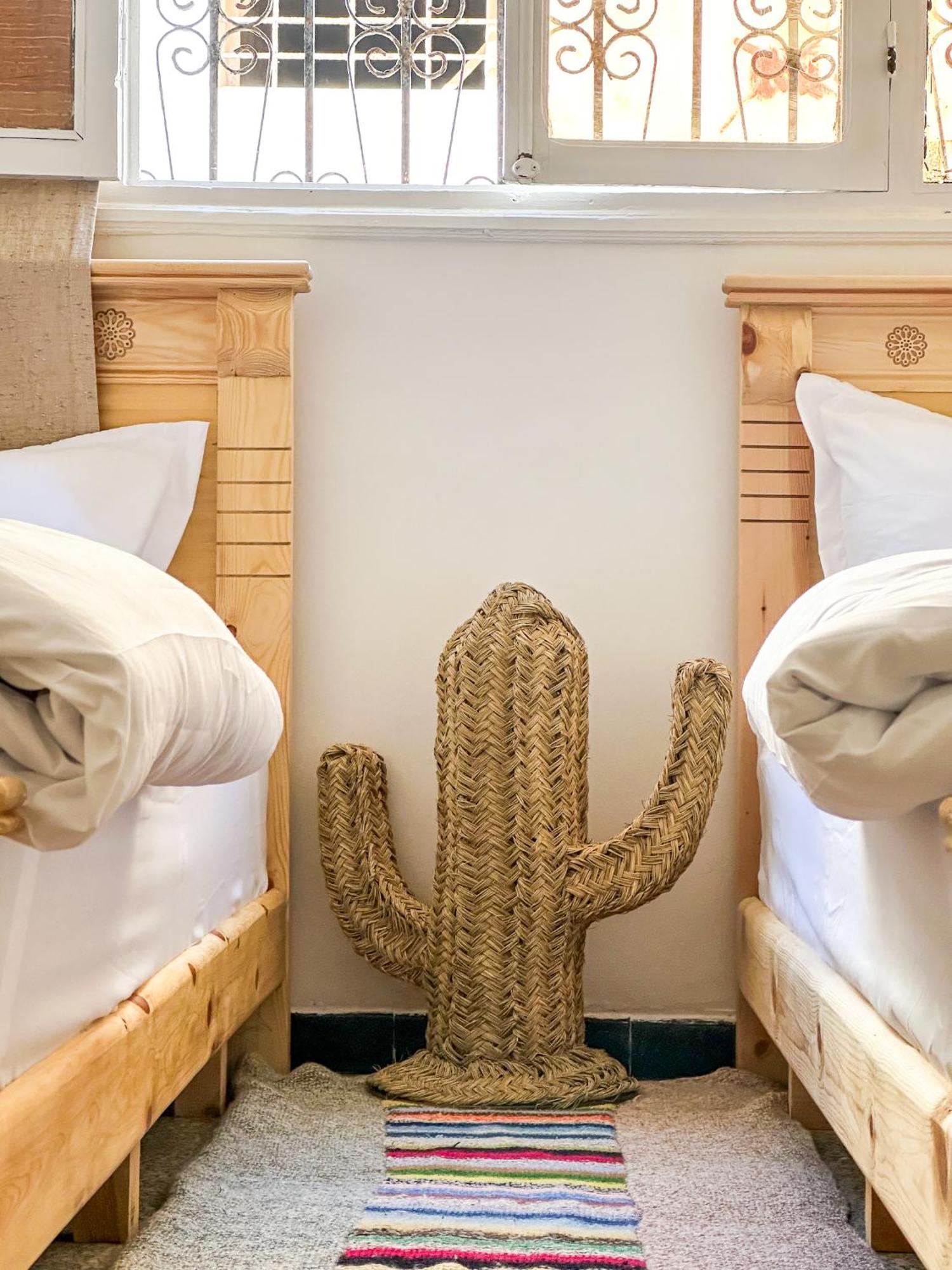 Surf And Anza - Surf Territory Hostel *