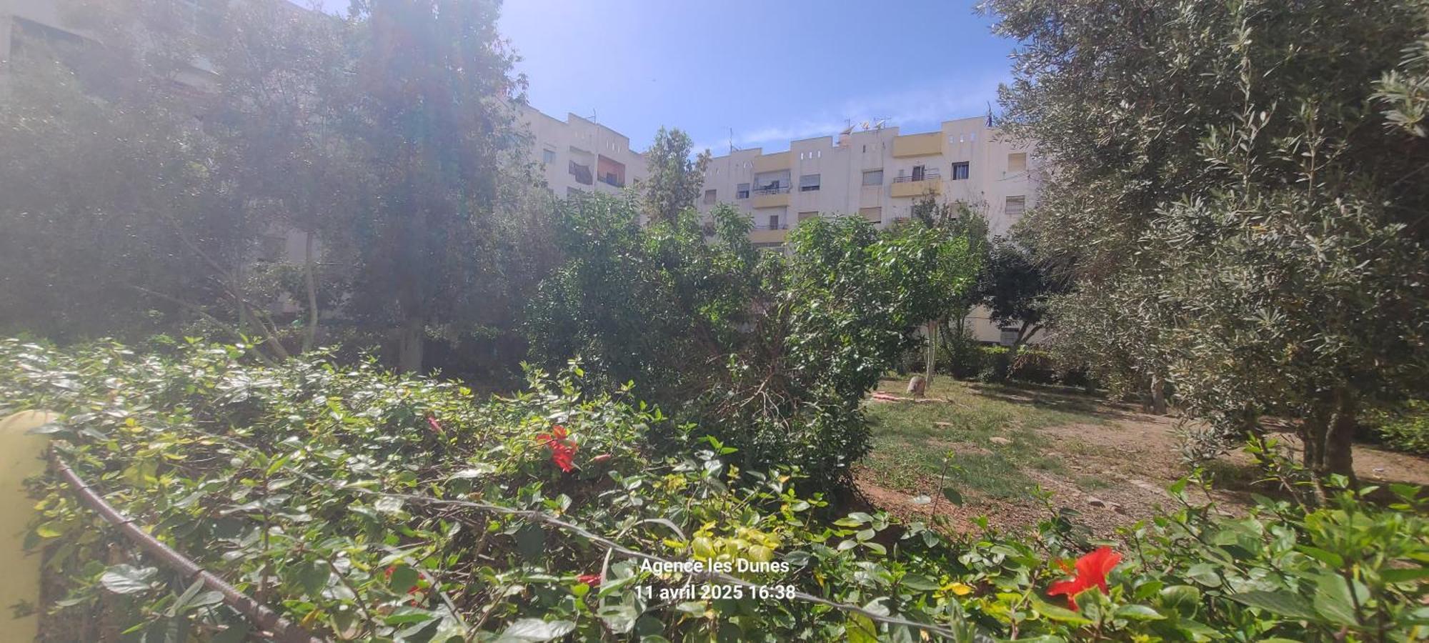 L'orchidee * Agadir