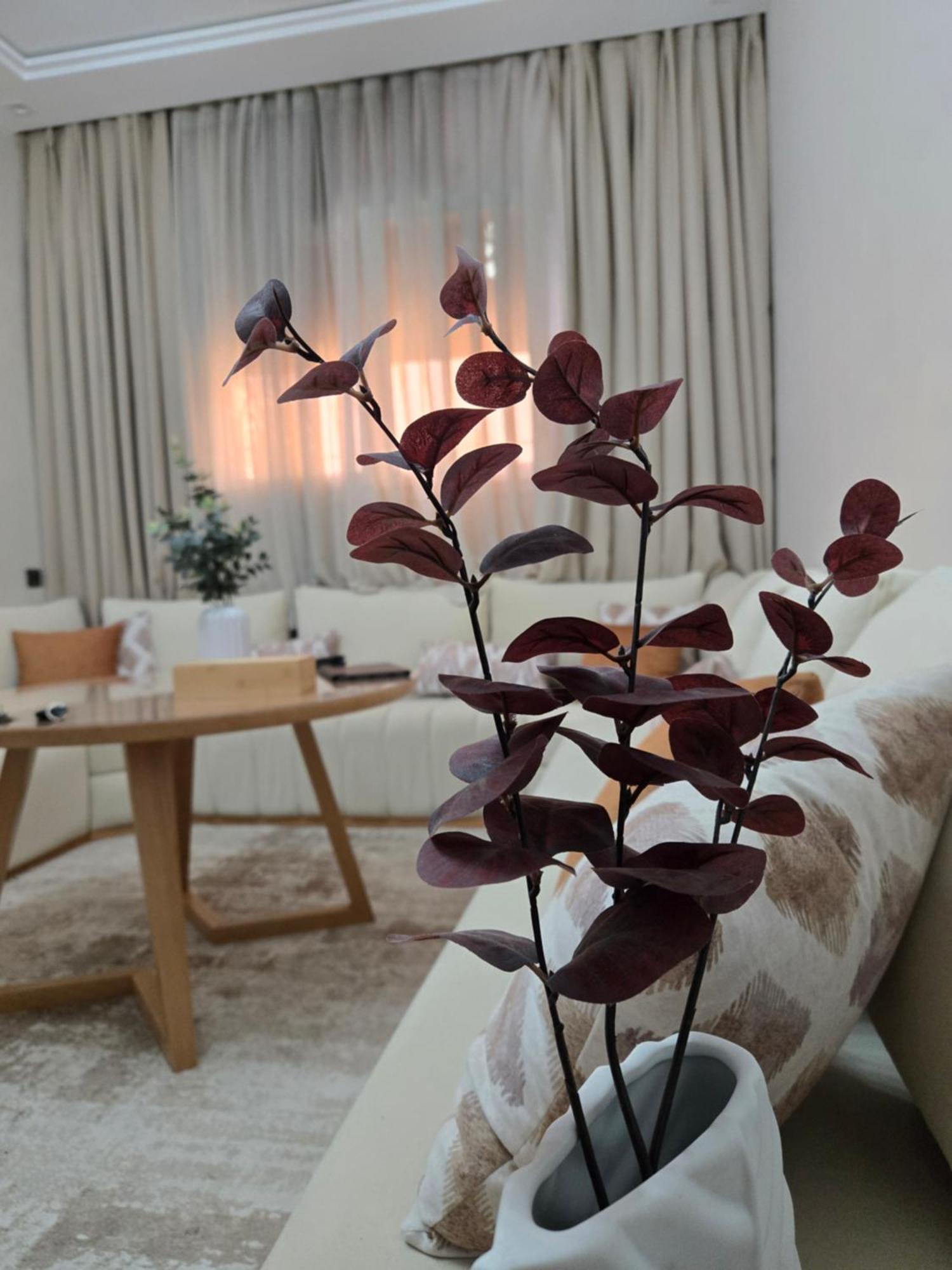Apartment Propre Bien Situe *