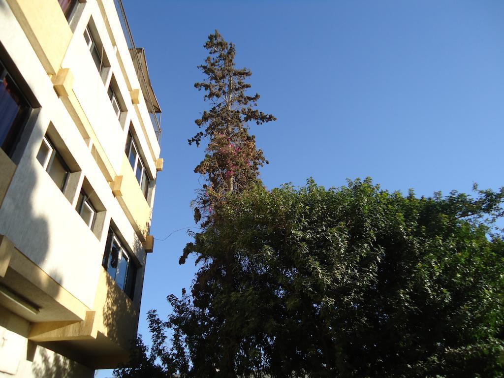 Apartment Takad Dream