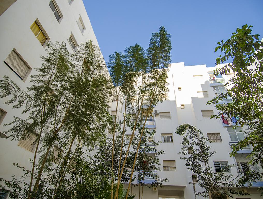 Apartment Immoconst 11 *