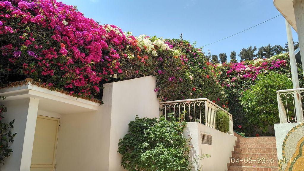 Quartier Charaf Villa *