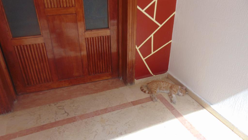 Fawzi Apartment Agadir