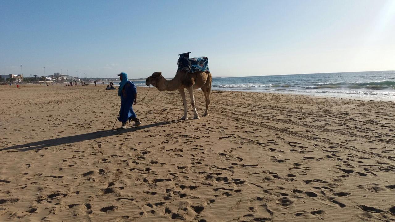 Appartement Agadir Agadir