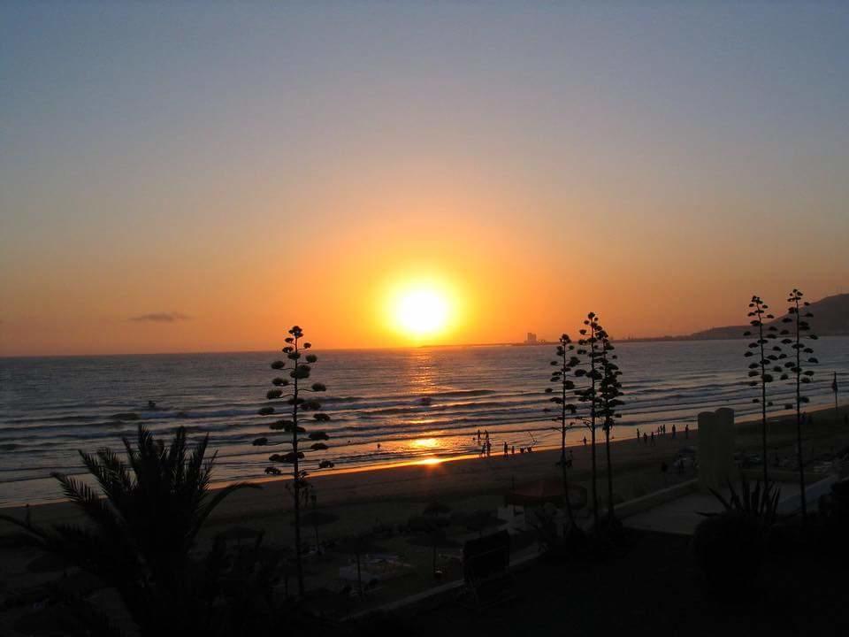 Garden Paradise * Agadir