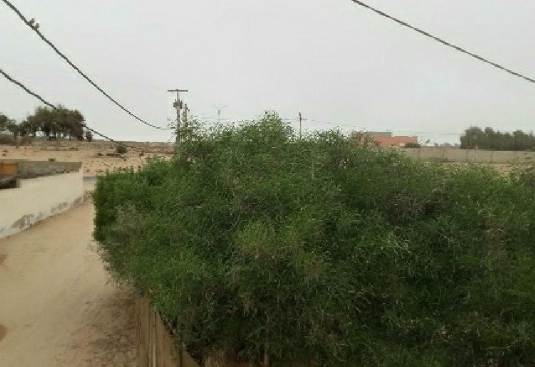 Maison Au Coeur Du Village Sidi Rbat