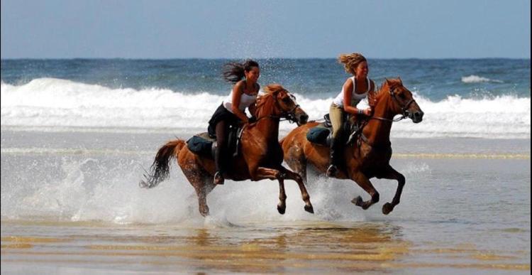 Tighola * Agadir