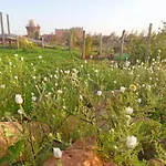 L\'Experience Berbere