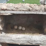Gite Ferme Avec Piscine Privee