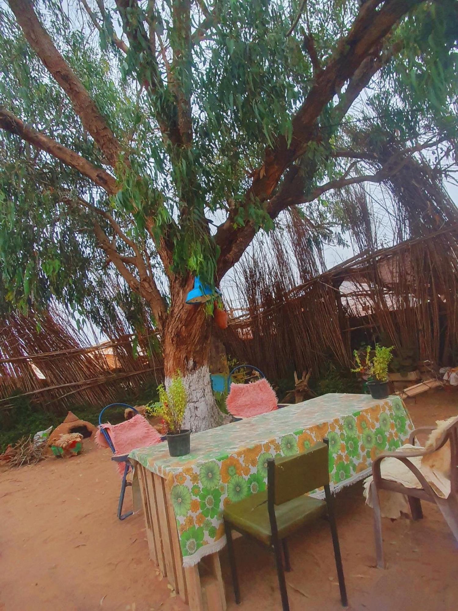 L'experience Berbere