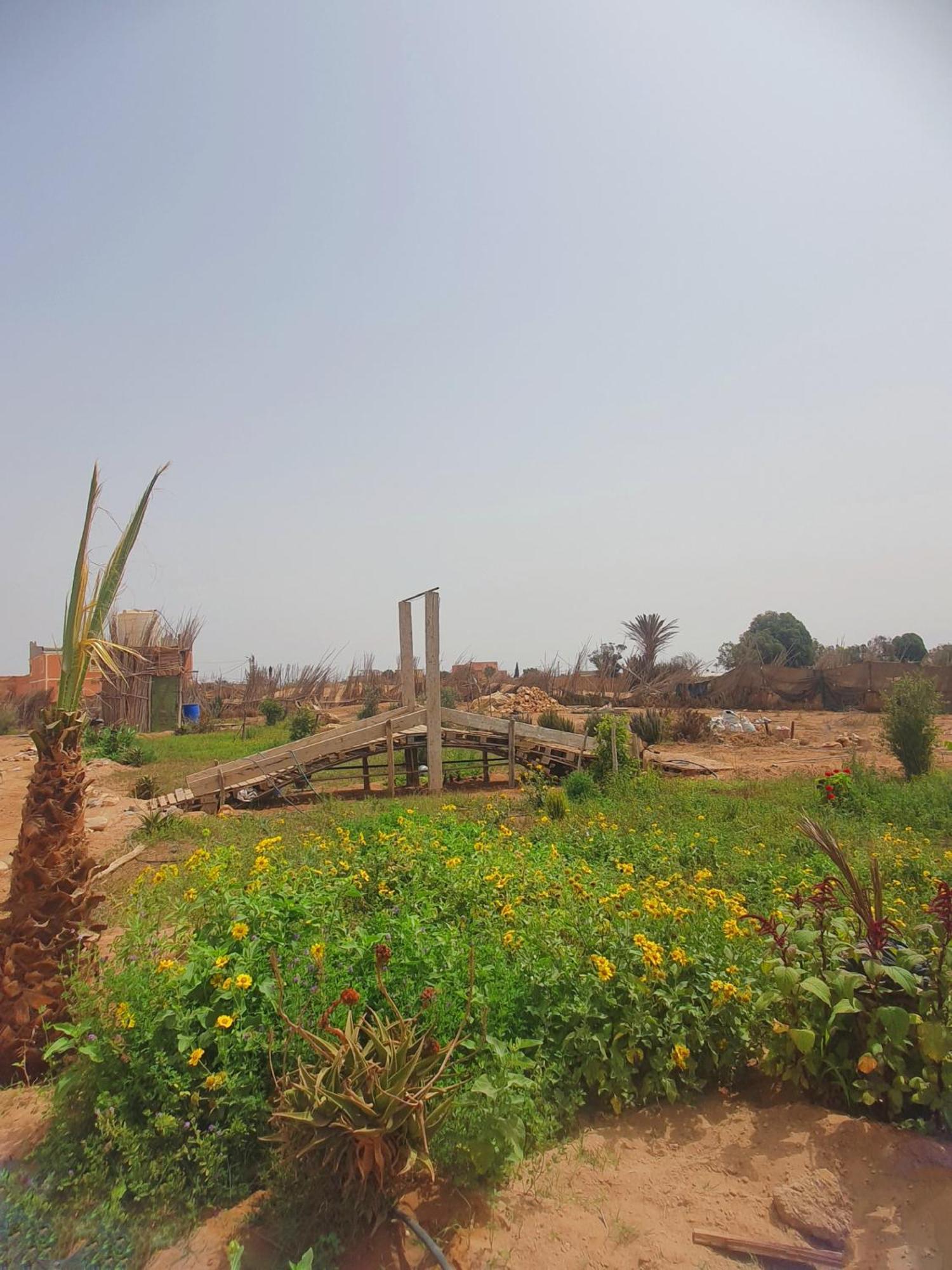 Vakantiehuis L'experience Berbere Agadir