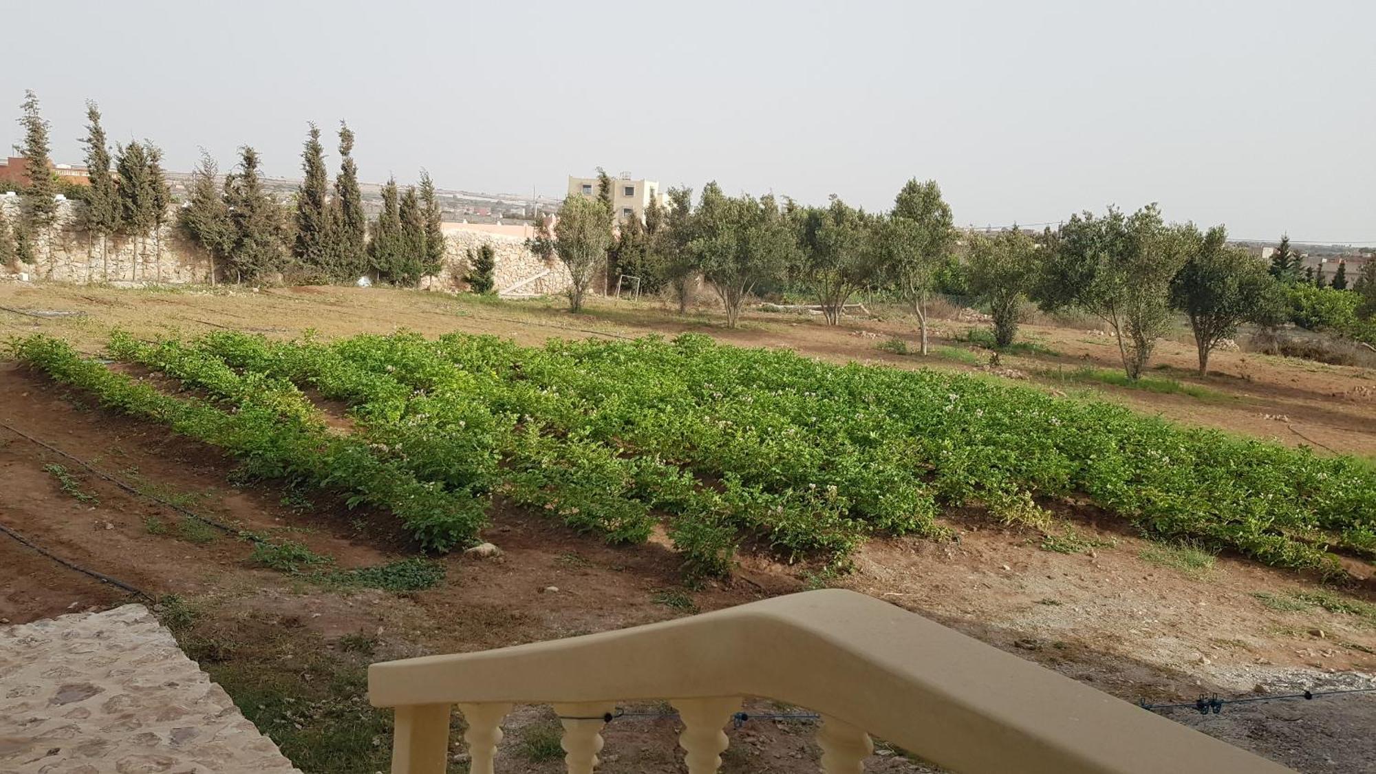 Ferme Avec Piscine Privee Agadir