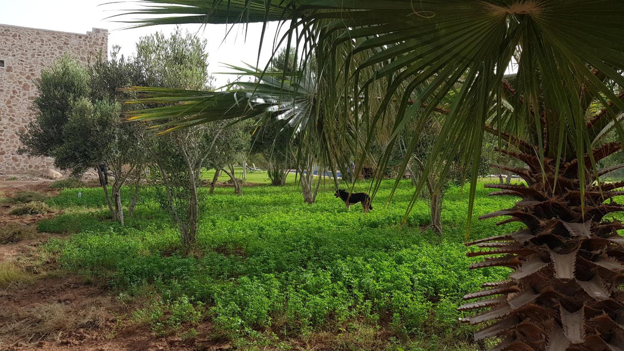 Ferme Avec Piscine Privee Agadir