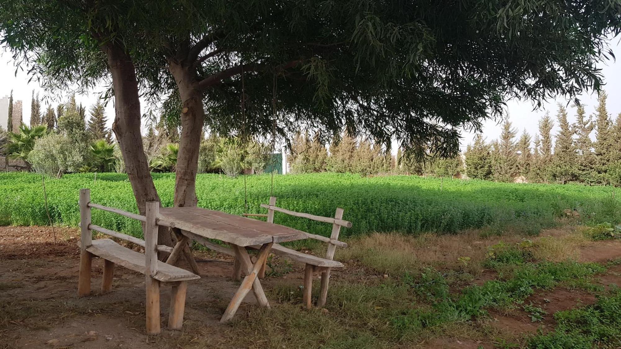 Ferme Avec Piscine Privee * Agadir