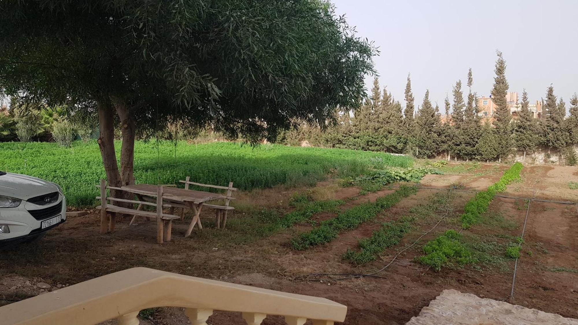 Ferme Avec Piscine Privee Agadir