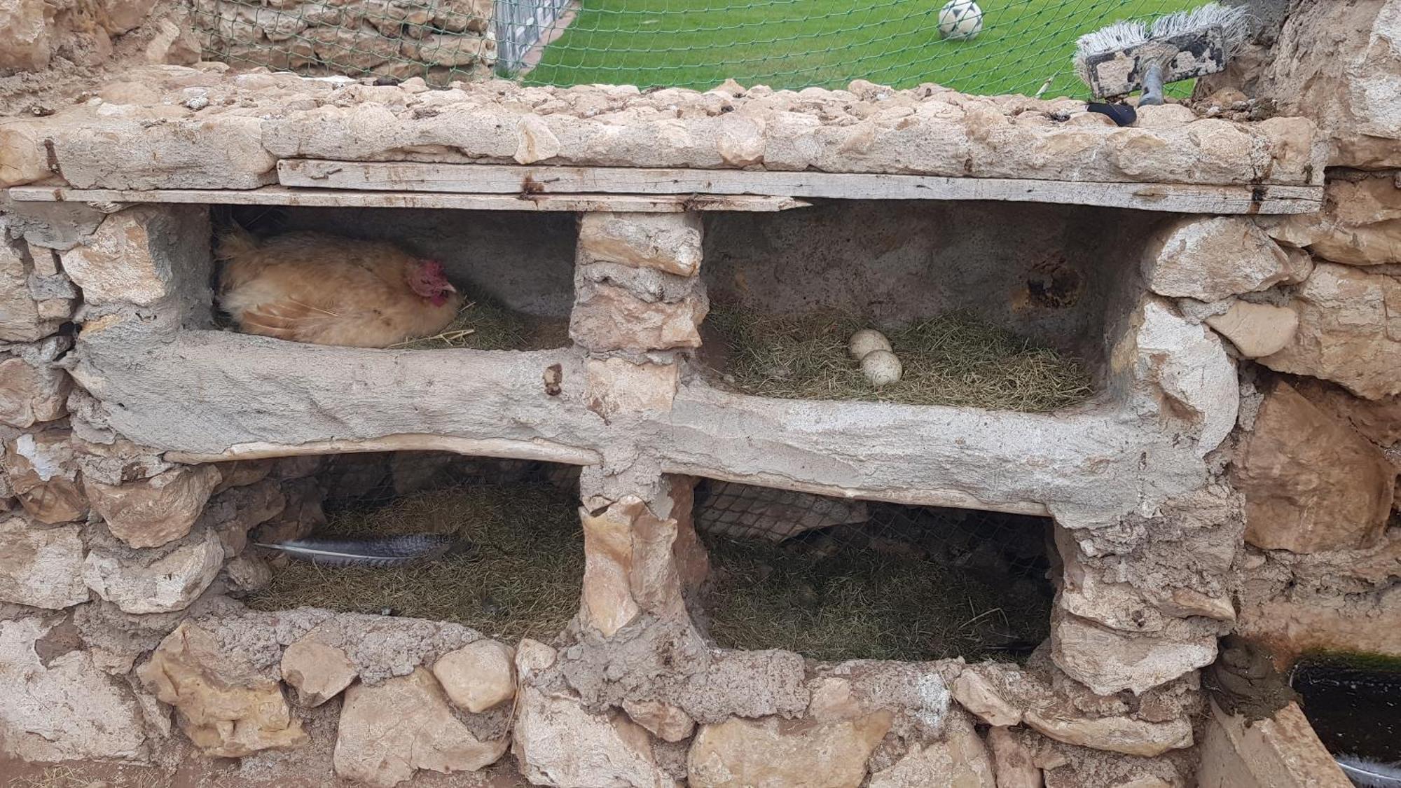 Ferme Avec Piscine Privee Holiday home *