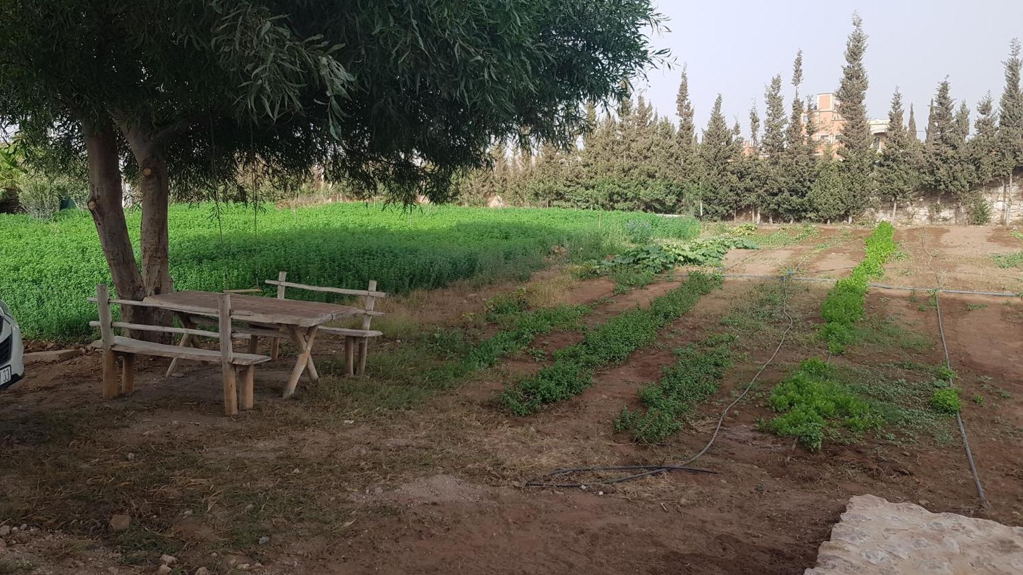 Ferme Avec Piscine Privee * Agadir