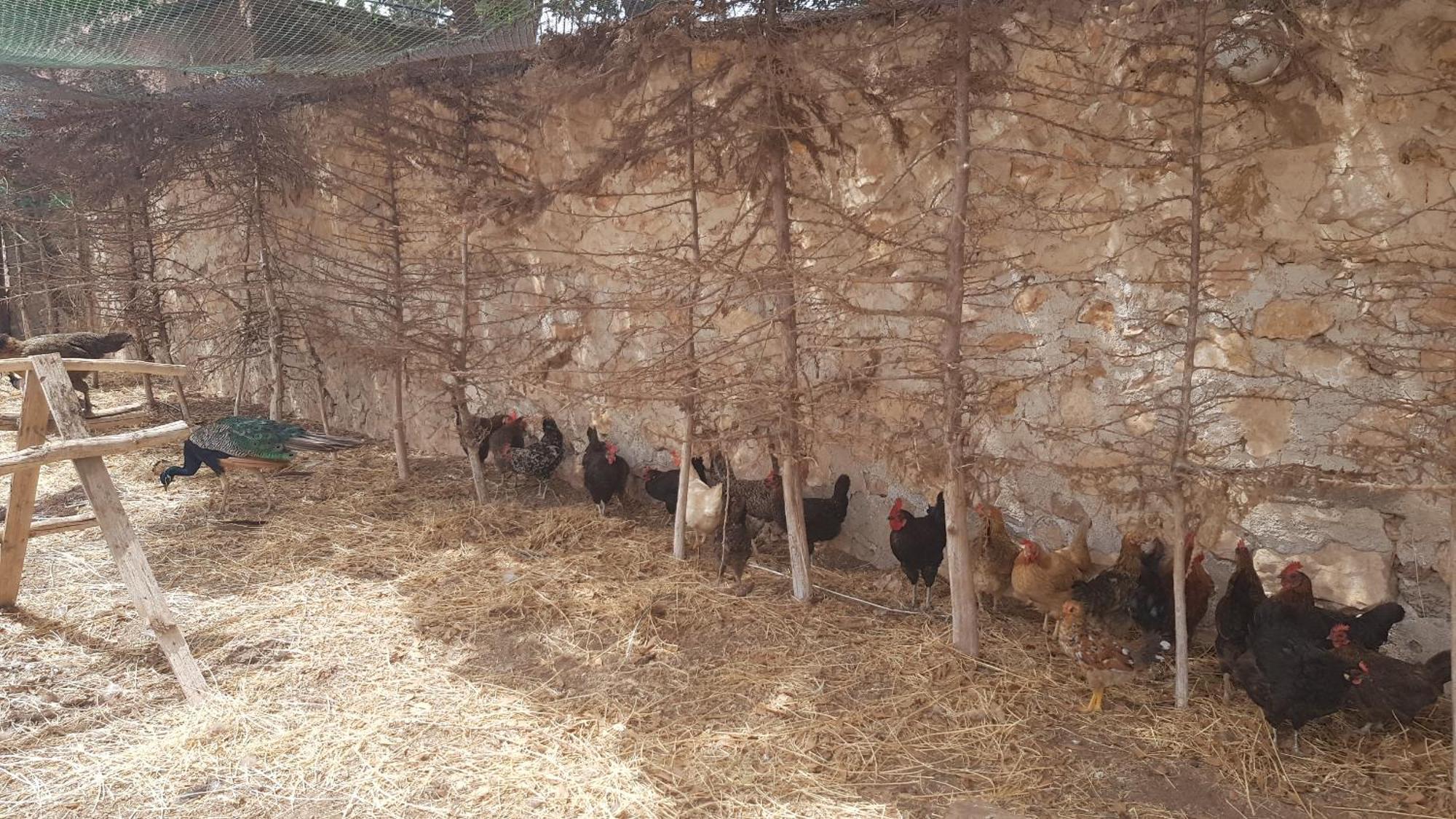 Ferme Avec Piscine Privee Holiday home *