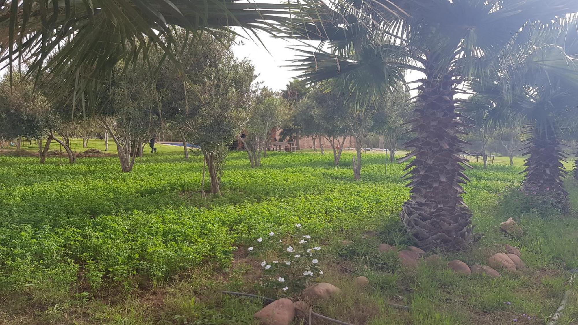 Holiday home Ferme Avec Piscine Privee Agadir