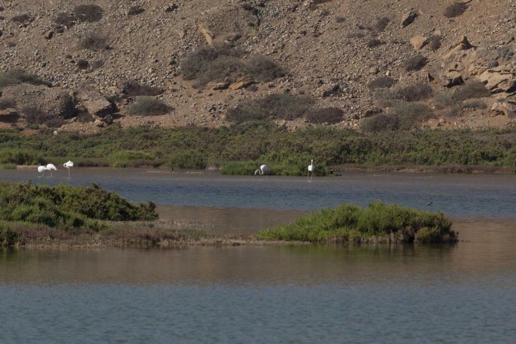 Maison Au Coeur Du Village Sidi Rbat Agadir