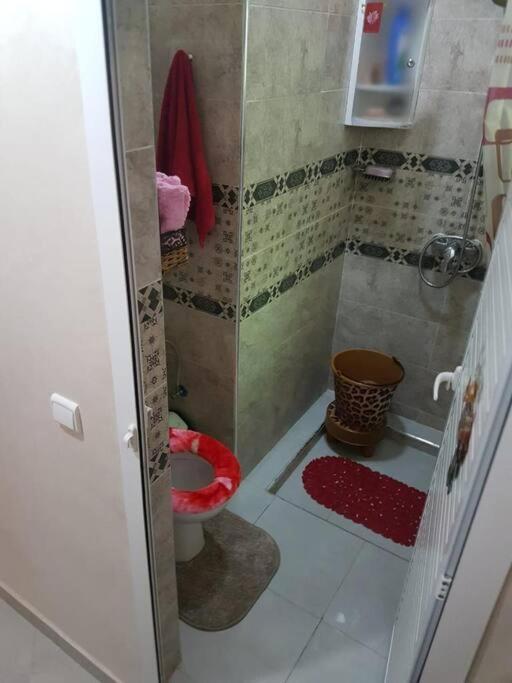 Apartment The Perfect Tenant For Rent *