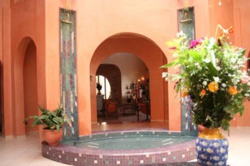 Riadana Riad Agadir