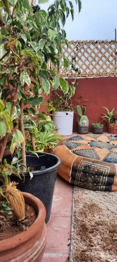 Moroccan Family House Bed & Breakfast *