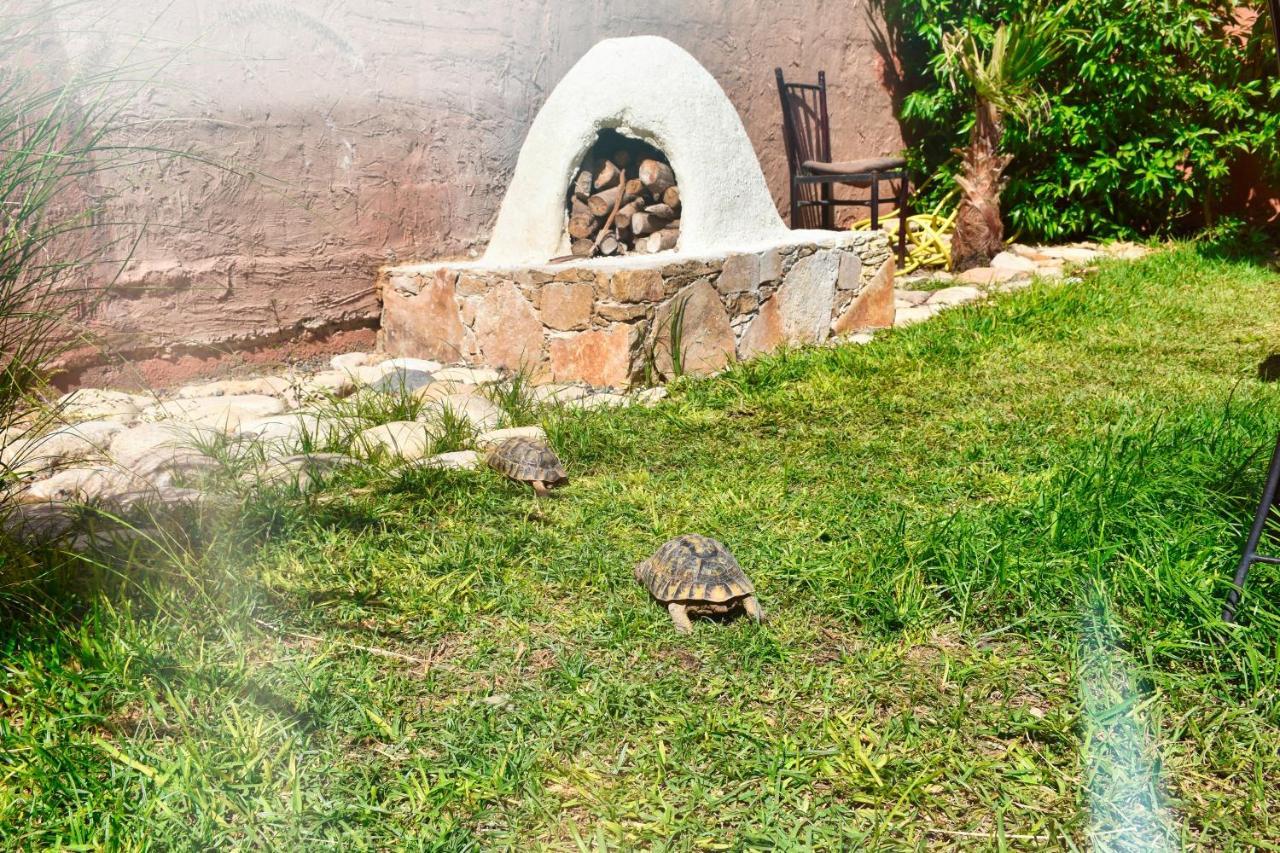 Route De Miel * Agadir