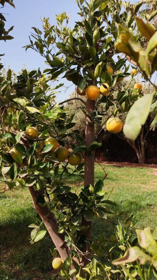Villa Sherazade Agadir, Petit Dejeune Offert Agadir