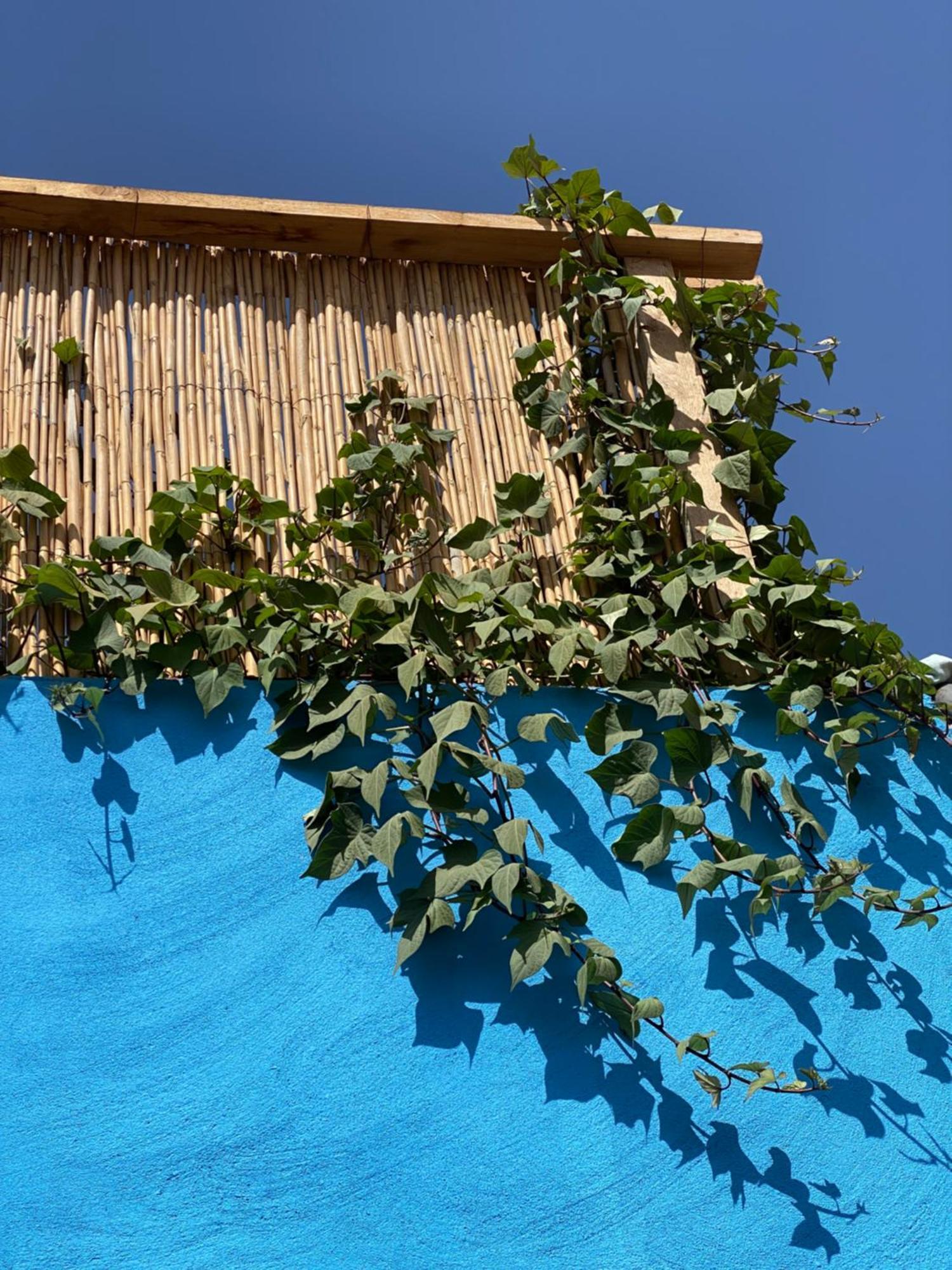 Moroccan Family House Bed & Breakfast *