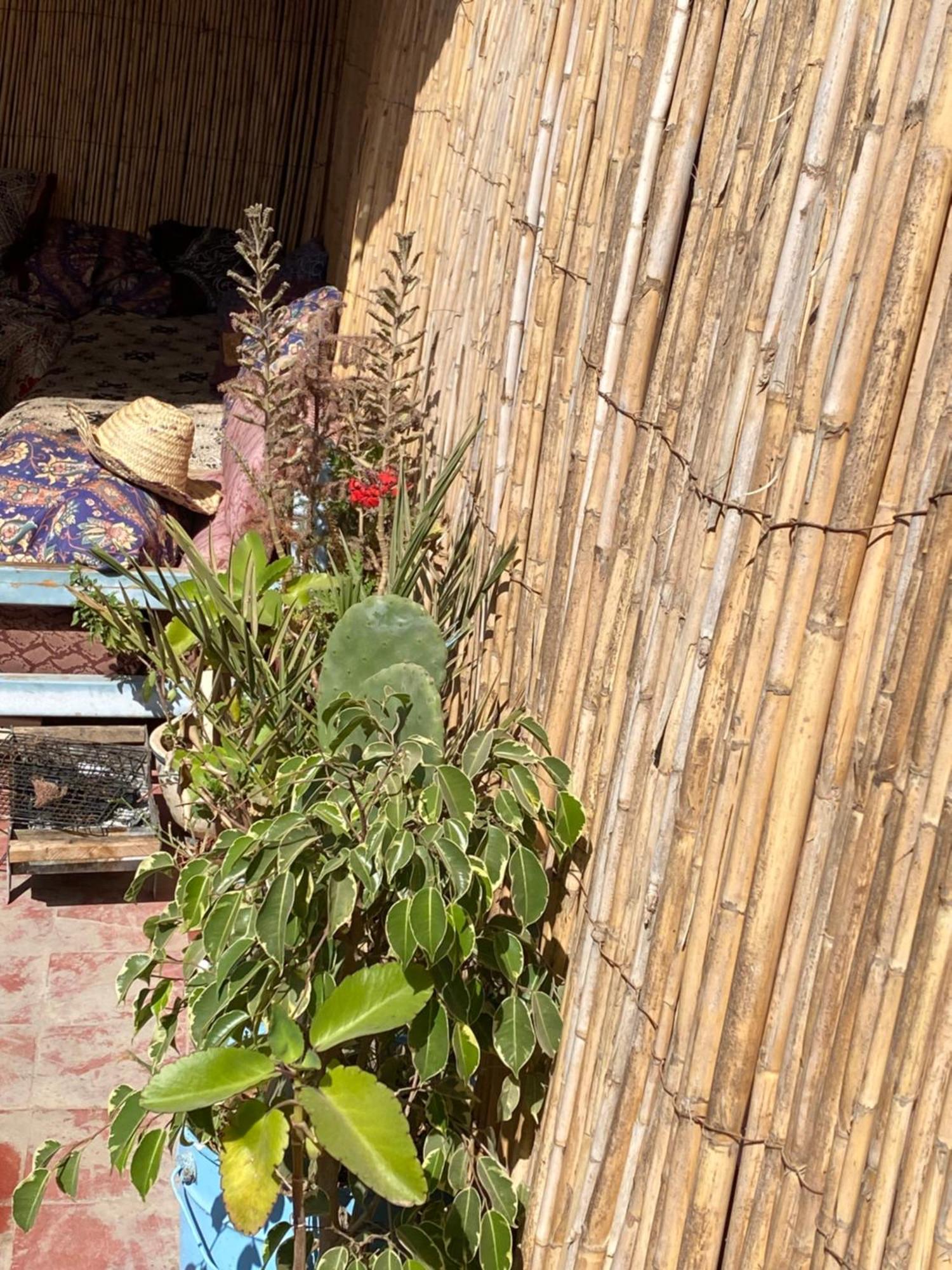 Moroccan Family House * Agadir