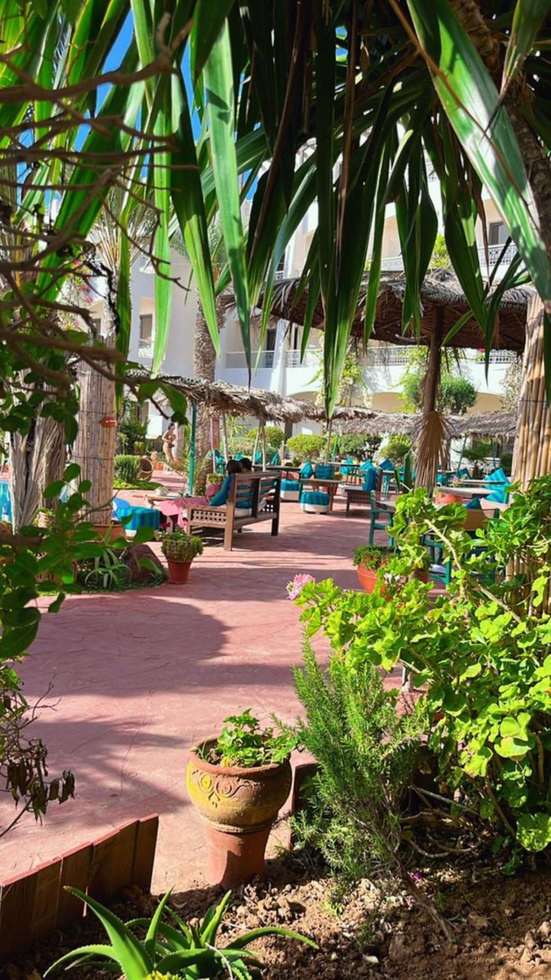Borjs Suites&spa