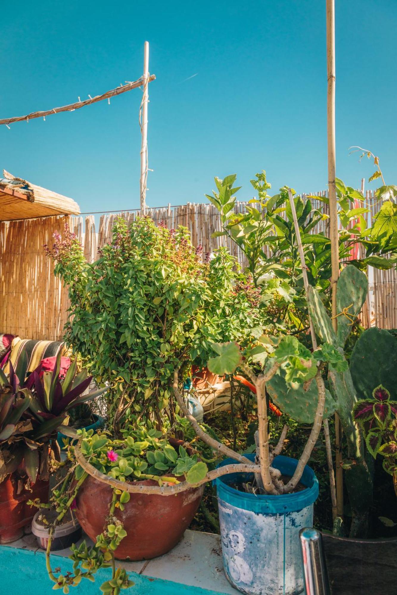 Moroccan Family House Bed & Breakfast Agadir