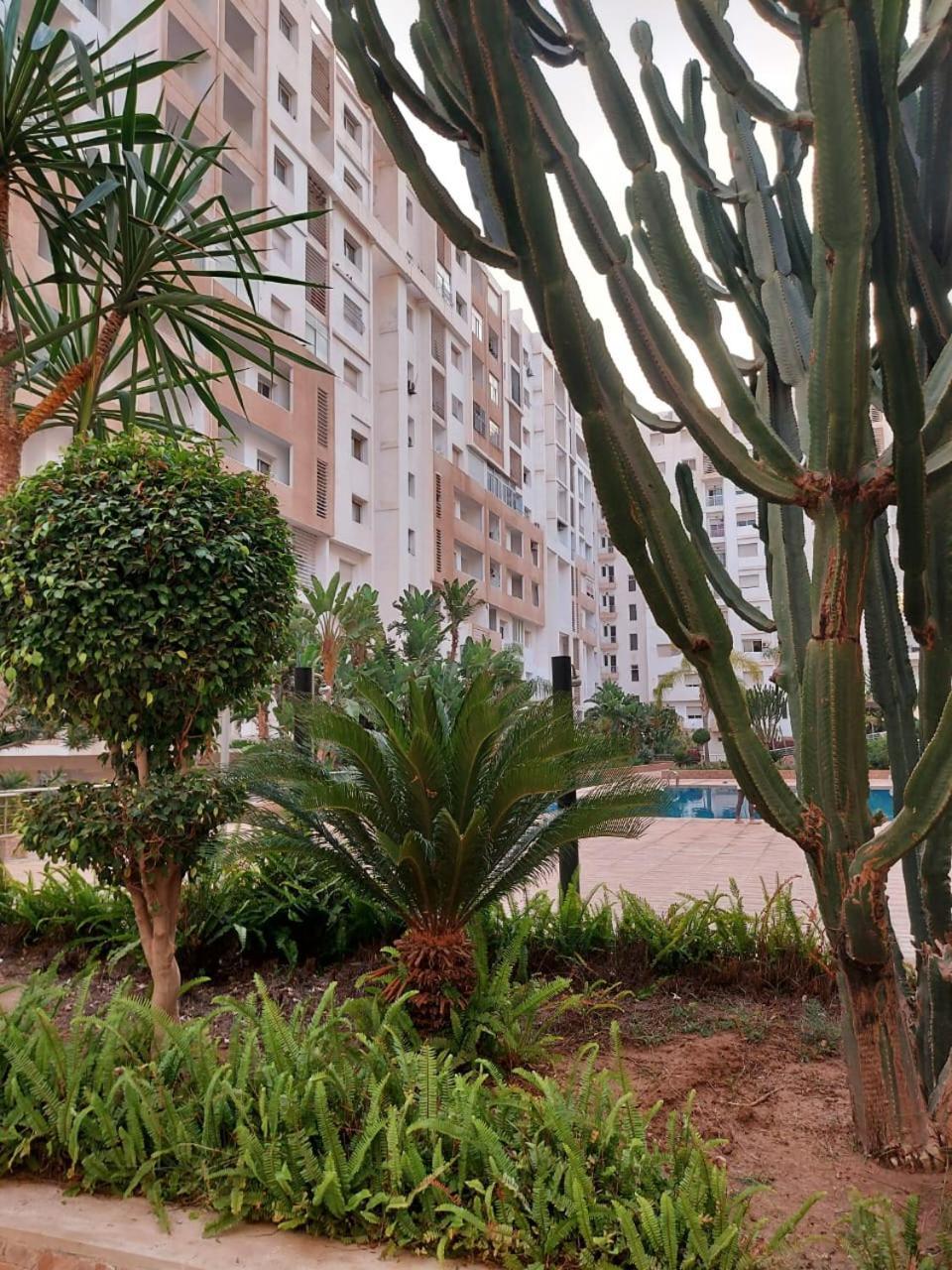 Apartment Prestige Islan *