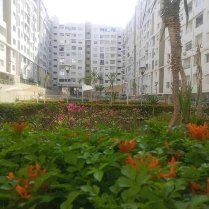 Coin Du Ciel-cosy, Vue Ocean & Piscine Appartement *