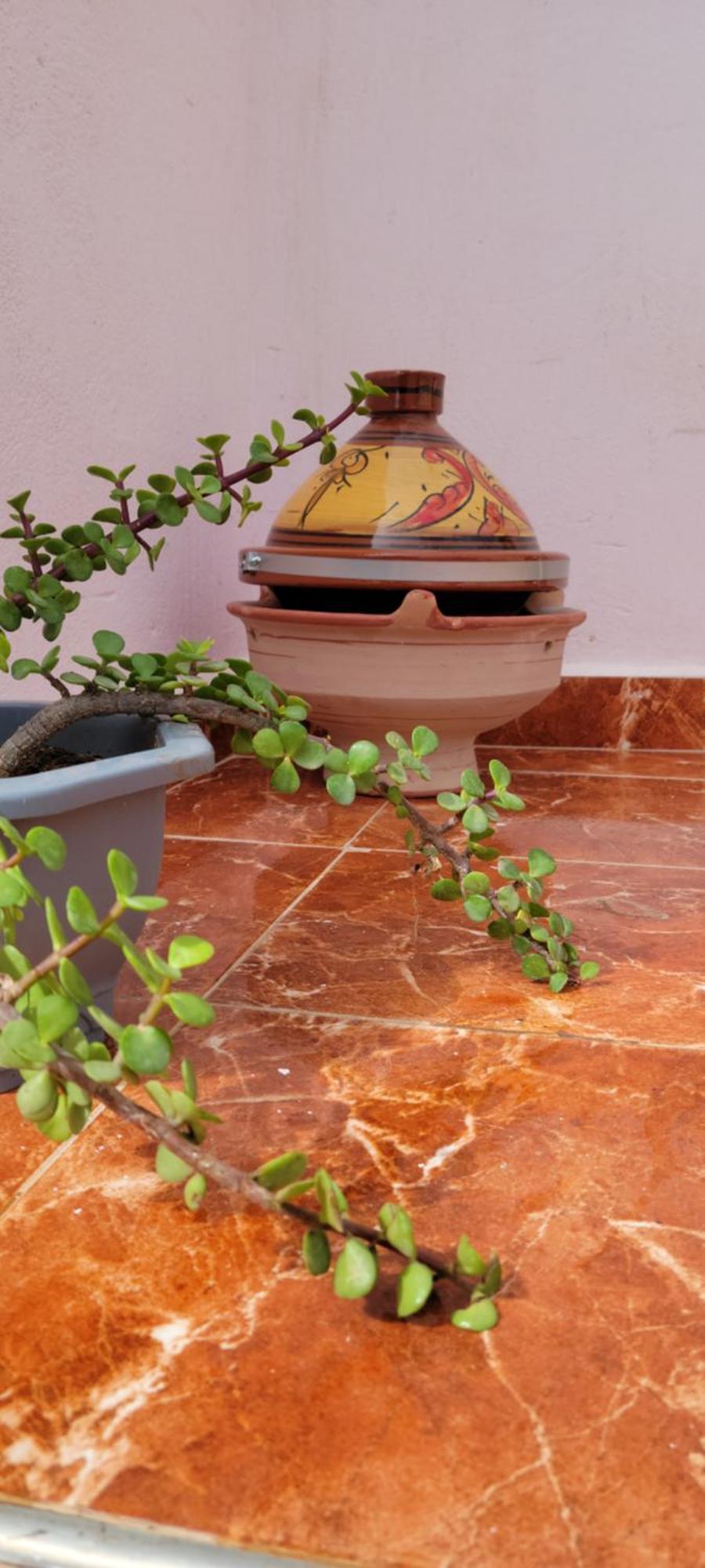 Sun & Sea House Agadir