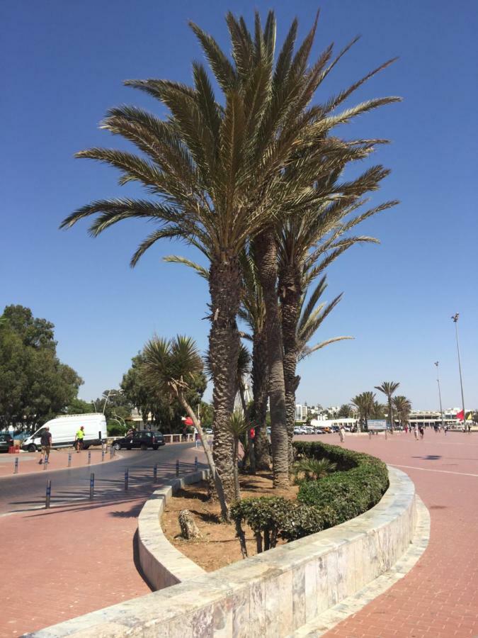 Ensoleillé *